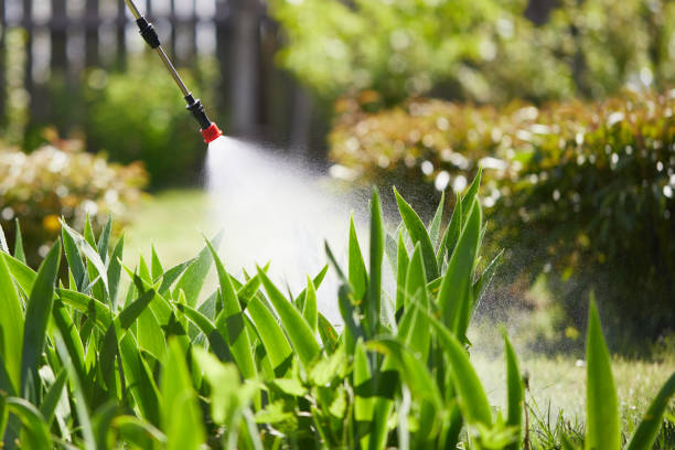Tamper-Resistant Bait Stations for Rodents in St. Andrews