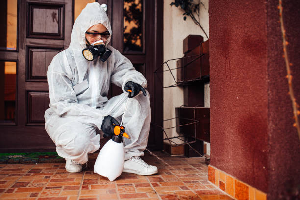 Attic and Crawl Space Rodent Treatment in St. Andrews